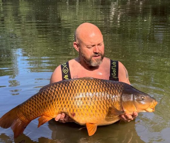 Orchard Lake Image