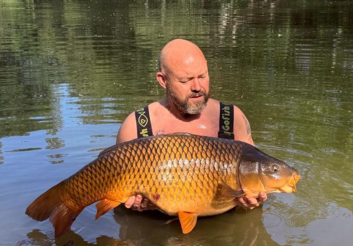 Orchard Lake Image