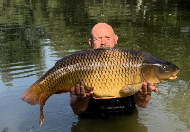 Poplars Lake Image