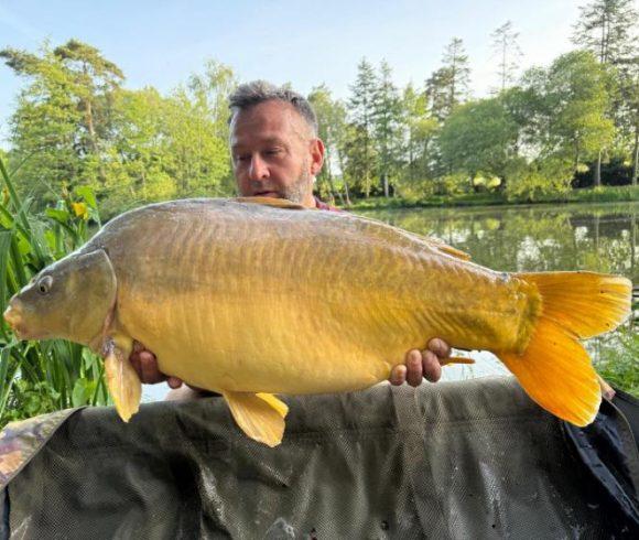 Orchard Lake Image