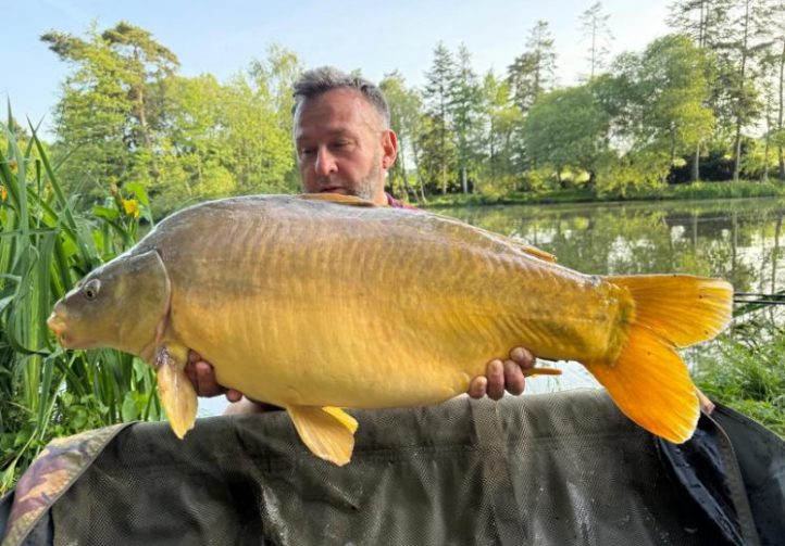 Orchard Lake Image