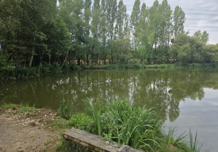 Orchard Lake Image