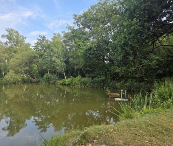 Orchard Lake Image