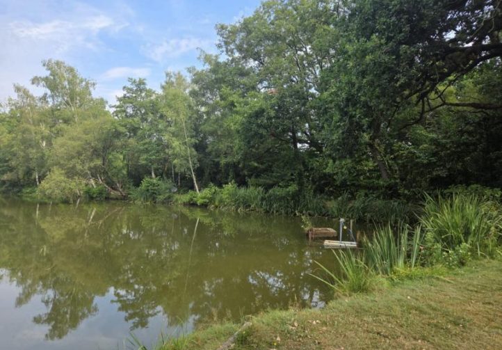 Orchard Lake Image