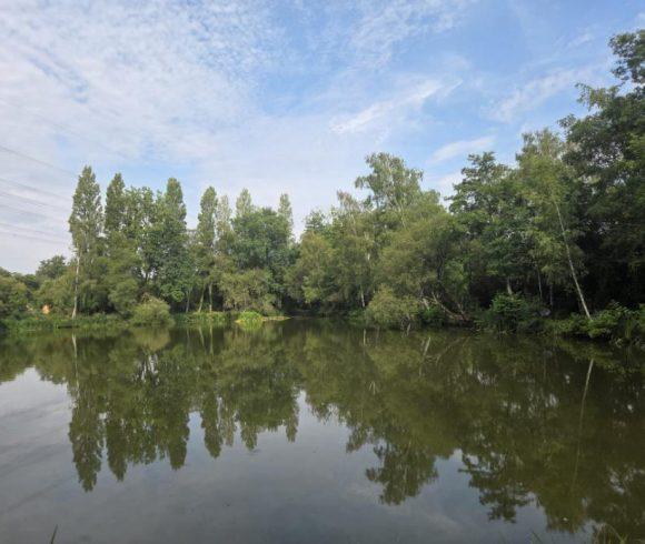 Orchard Lake Image