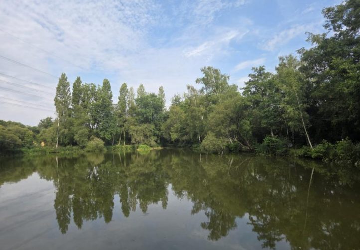 Orchard Lake Image
