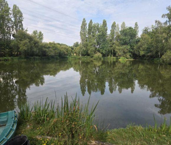 Orchard Lake Image