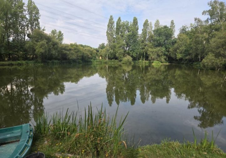 Orchard Lake Image