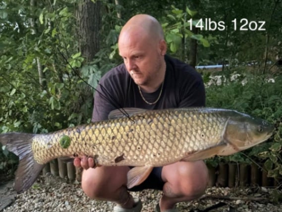 Chef de Ville: 27-06-2026 to 04-07-2026