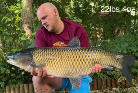 Chef de Ville: 27-06-2026 to 04-07-2026