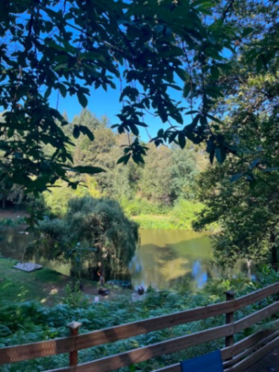 Chestnut Pool: 18-07-2026 to 25-07-2026