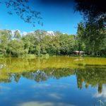 Orchard Lake Image