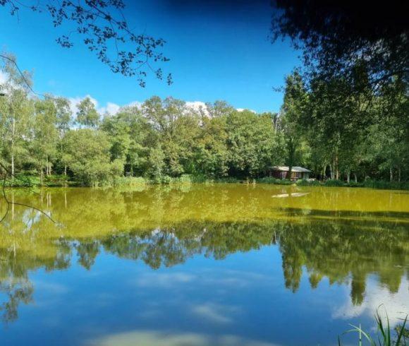 Orchard Lake Image