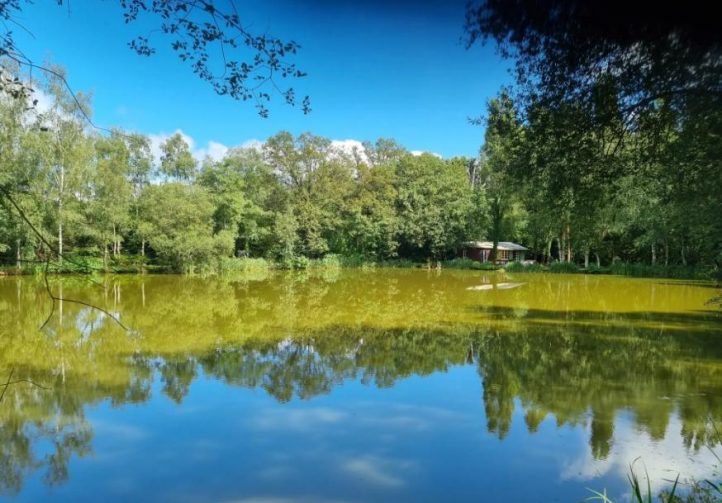 Orchard Lake Image