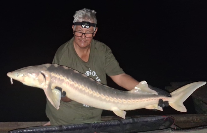 Belenos Lake: 15-08-2026 to 22-08-2026