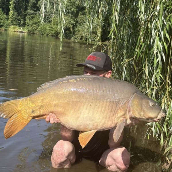 Kingfisher Lake – Carp France – 01 August, 2026