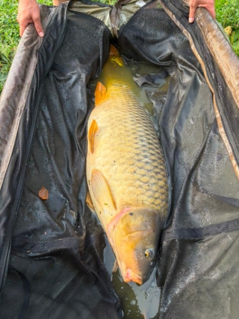 Oak Tree Lakes: 15-08-2026 to 22-08-2026