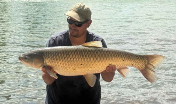 Belenos Lake: 15-08-2026 to 22-08-2026