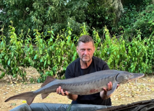 La Petite Coquais – 22 August, 2026