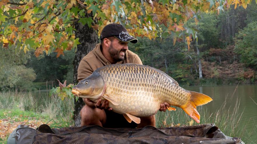 autumn carp fishing 
