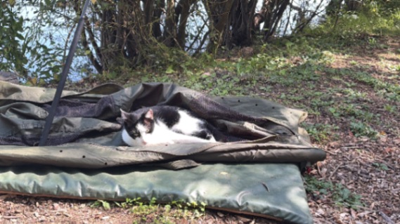 Domaine de Grand Felin – 06 September, 2026