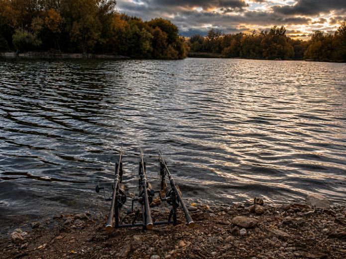 Autumn wind carp fishing
