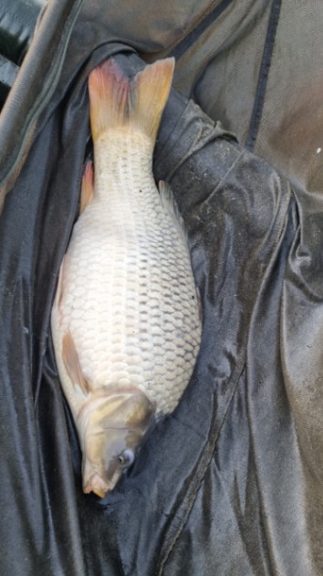 Etang Furet – 05 September, 2026