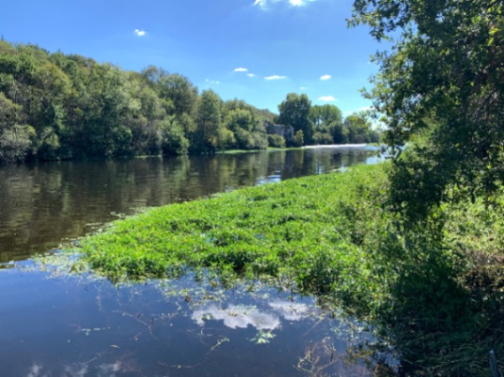 Wild Carp Fishing – River Vienne and Public Lakes: 10-09-2026 to 17-09-2026