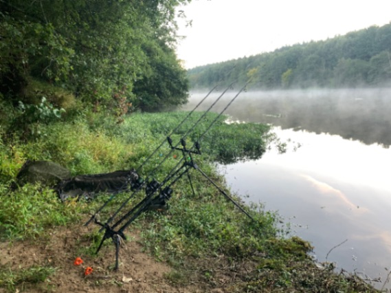 Wild Carp Fishing – River Vienne and Public Lakes: 10-09-2026 to 17-09-2026