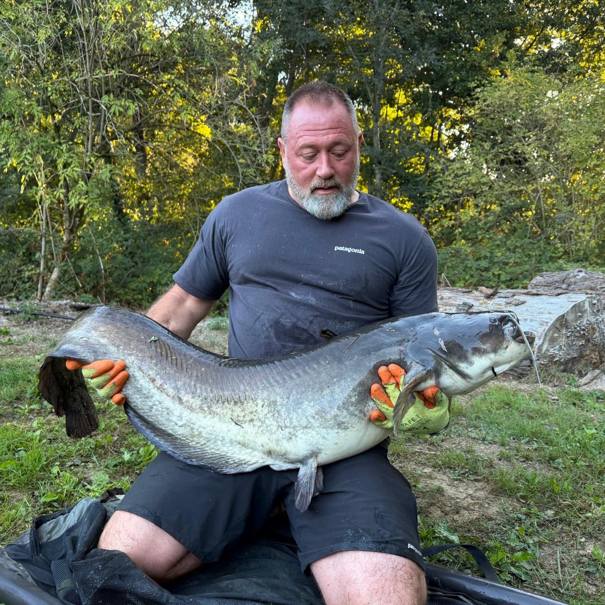 Kingfisher Lake – Carp France – 12 September, 2026