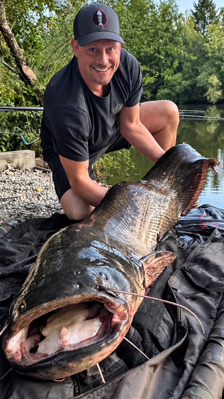 Kingfisher Lake – Carp France – 12 September, 2026
