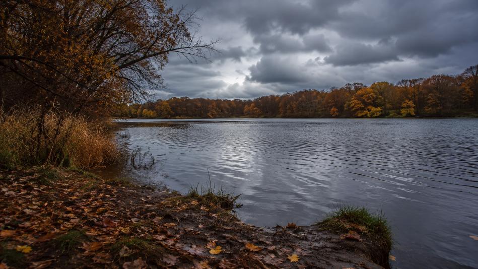 carp fishing in Autumn