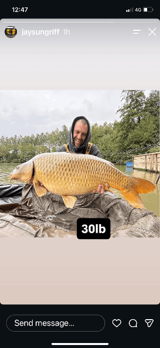 Bois de Printemps: 26-09-2026 to 03-10-2026
